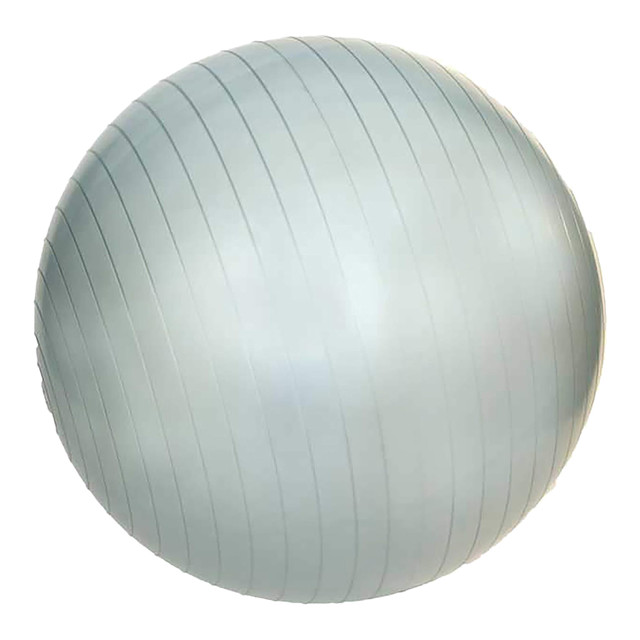 JFIT Anti-Burst Gym Ball