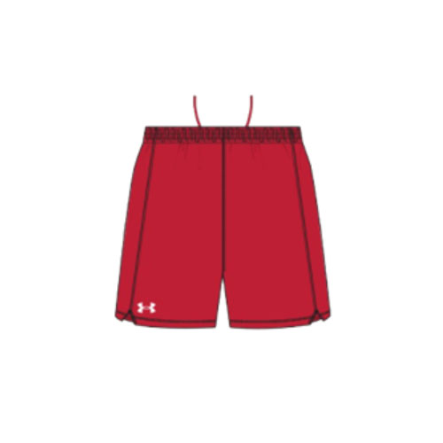 UA Womens Pace 4in Short