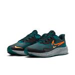 Nike Zoom Pegasus 39 Shield Mens - 300 Nike Zoom Pegasus 39 Shield Mens - 300