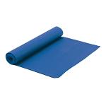 Portable Roll-Up Exercise Mat